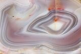 Colorful, Polished Patagonia Agate - Highly Fluorescent! #260759-2